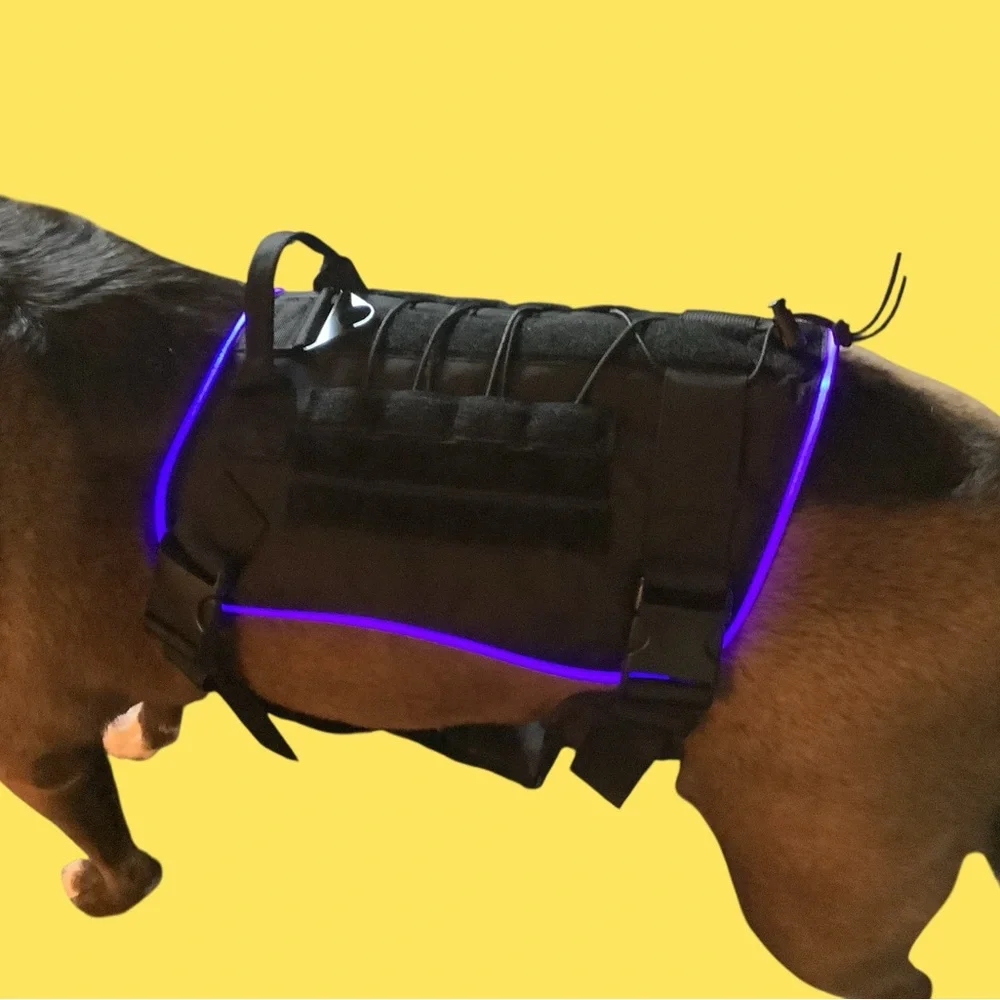 LED Light Up Dog Harness - 3 Glowing modes, 5 colors. Easy on and off. NEW